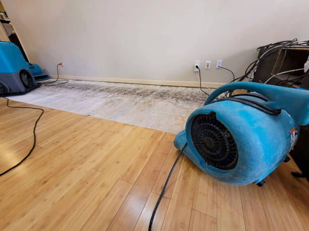 Professional Structural Drying technician working in Port Orchard, WA
